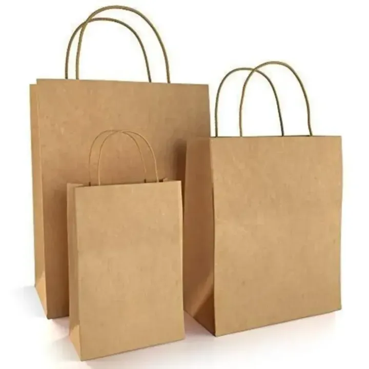 Eco friendly Paper Bags